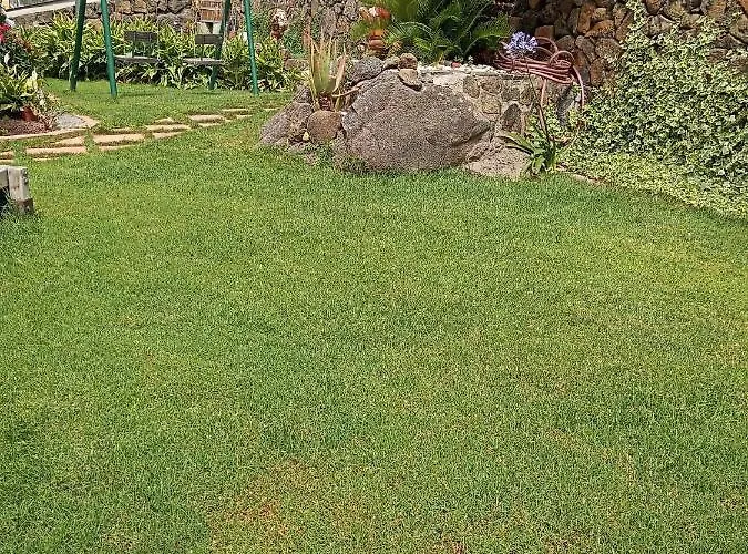 El Cercado Icod de los Vinos