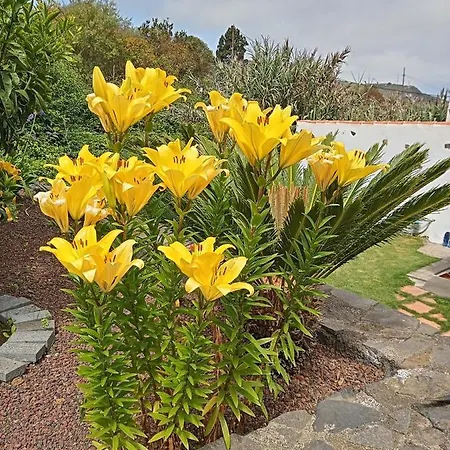 El Cercado Icod De Los Vinos